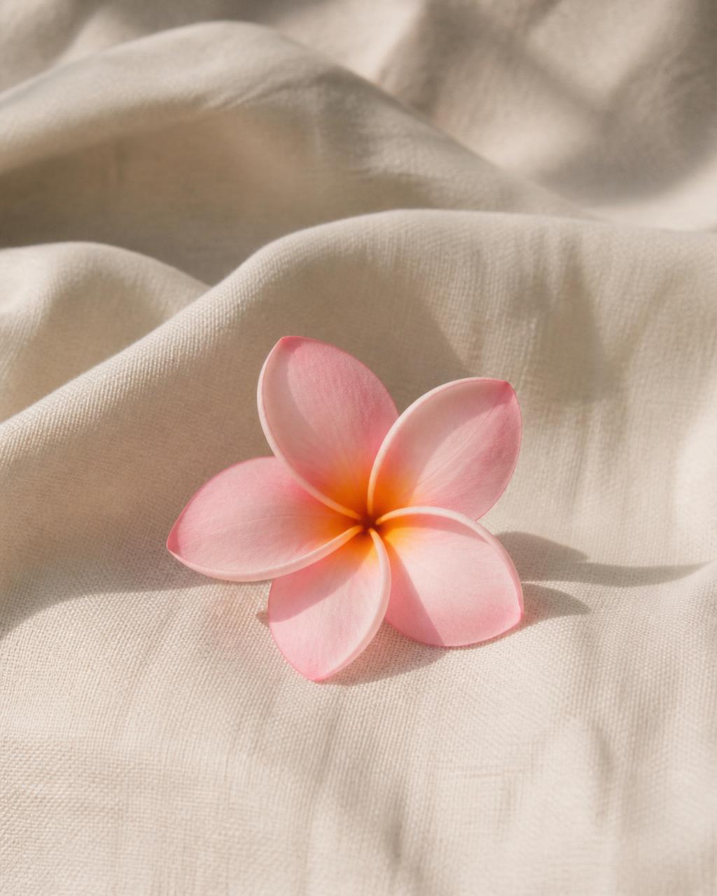 A single blush-pink plumeria blossom resting on cream linen